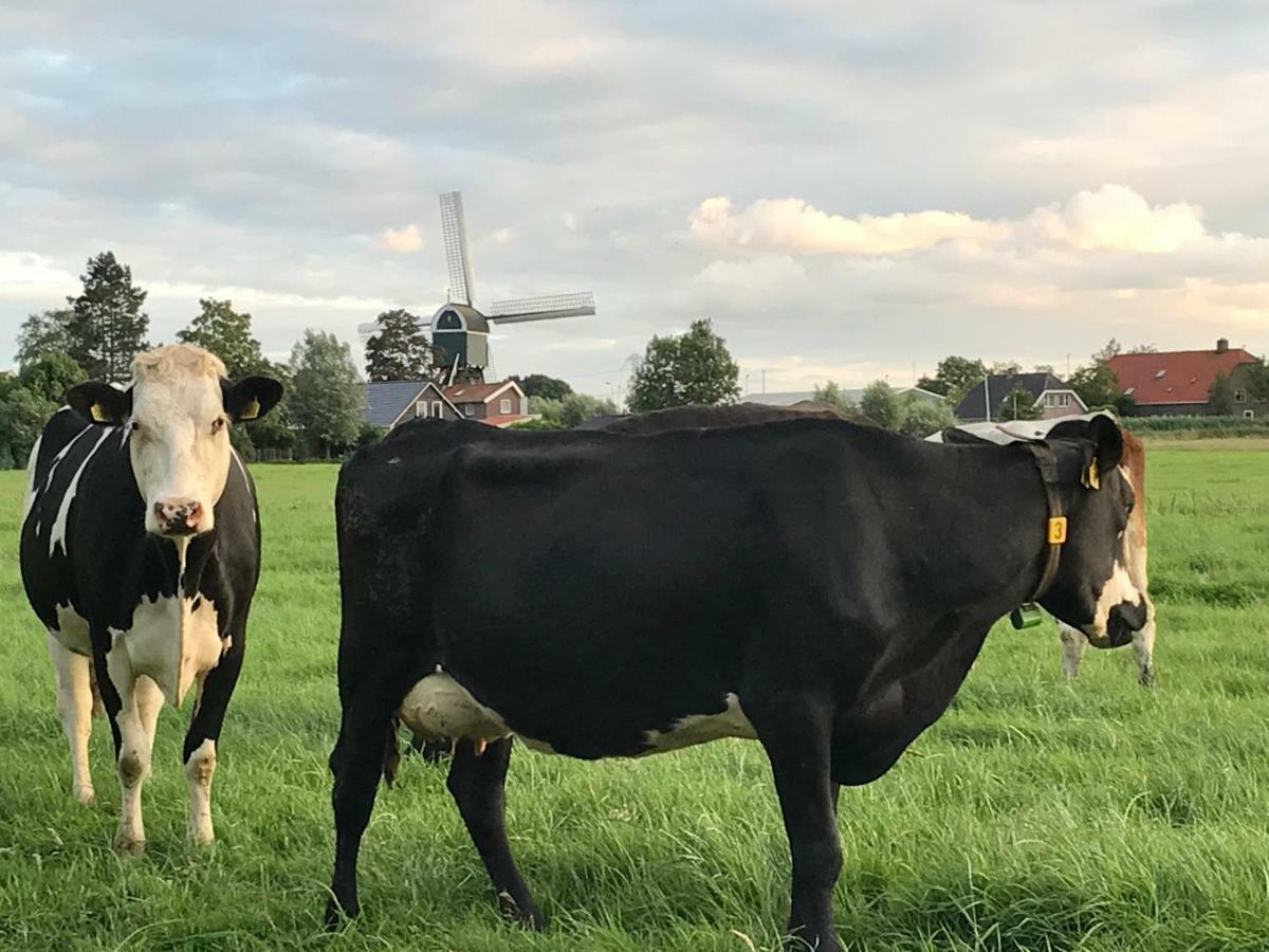De Ouwe Meulen *